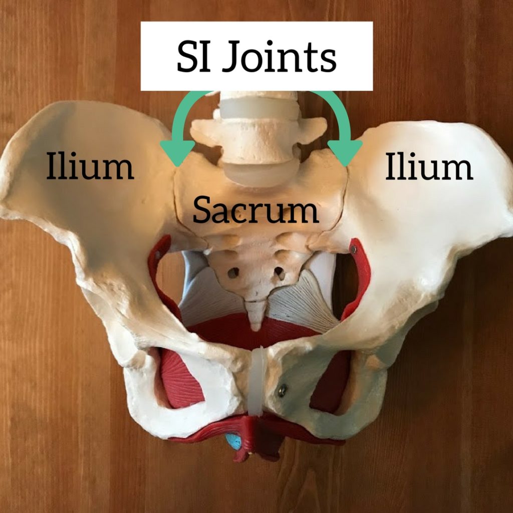 SI Joints Anatomy